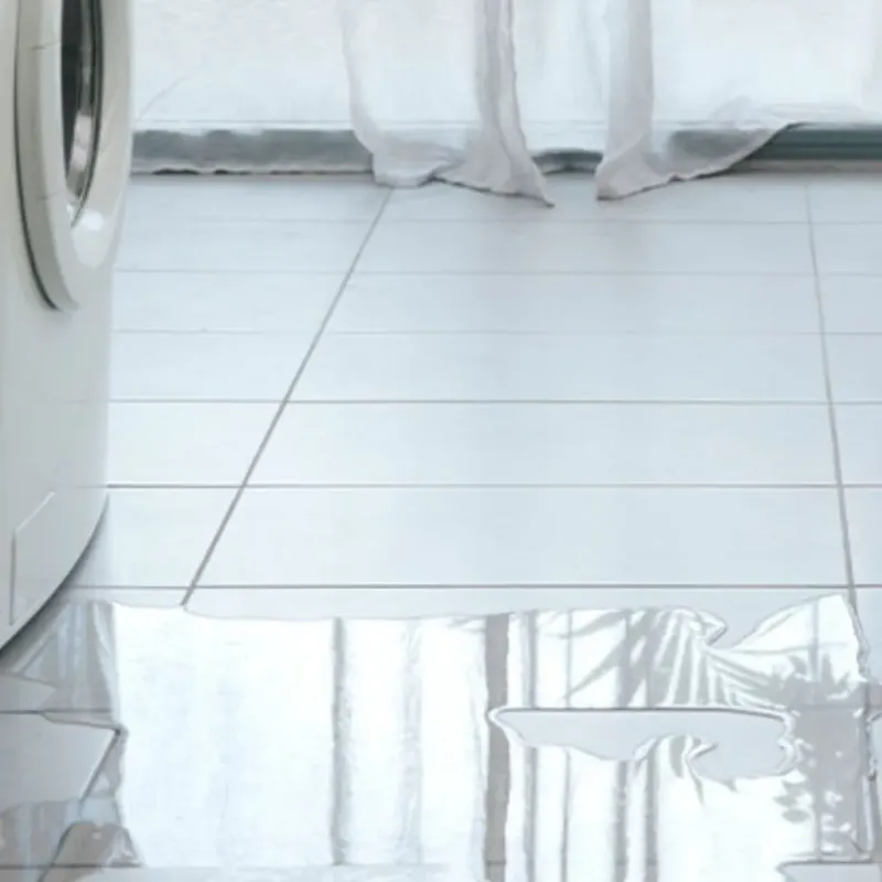 Appliance Leak Cleanup in Springdale, MD